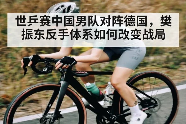 世乒赛中国男队对阵德国,樊振东反手体系如何改变战局